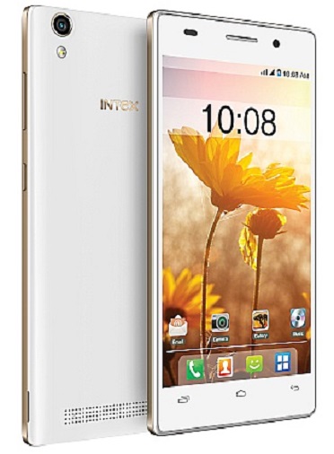Intex