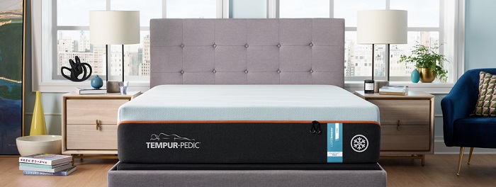 Tempur-Pedic