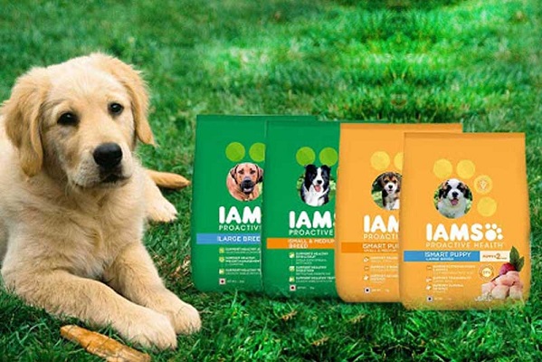 Iams